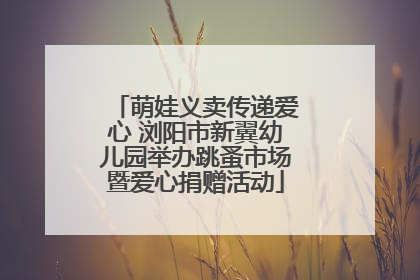 萌娃义卖传递爱心 浏阳市新翼幼儿园举办跳蚤市场暨爱心捐赠活动