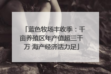 蓝色牧场丰收季：千亩养殖区年产值超三千万 海产经济活力足