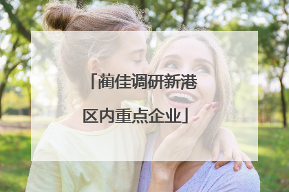 蔺佳调研新港区内重点企业