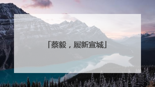 蔡毅，履新宣城