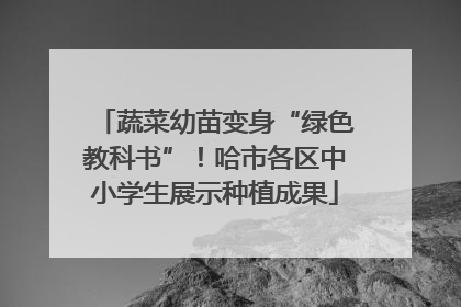 蔬菜幼苗变身“绿色教科书”！哈市各区中小学生展示种植成果