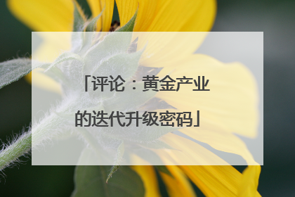 评论：黄金产业的迭代升级密码