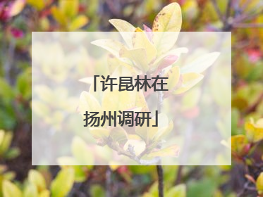 许昆林在扬州调研