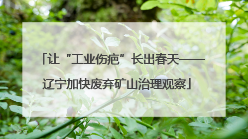 让“工业伤疤”长出春天——辽宁加快废弃矿山治理观察
