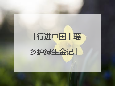 行进中国丨瑶乡护绿生金记