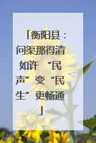 衡阳县：问渠那得清如许 “民声”变“民生”更畅通
