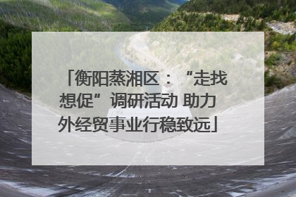 衡阳蒸湘区：“走找想促”调研活动 助力外经贸事业行稳致远