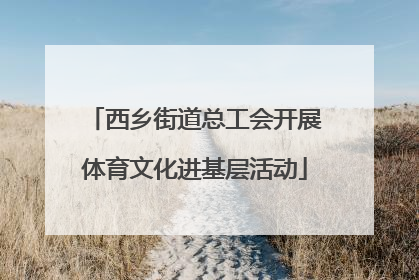 西乡街道总工会开展体育文化进基层活动
