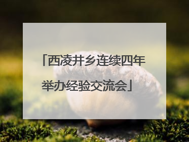 西凌井乡连续四年举办经验交流会