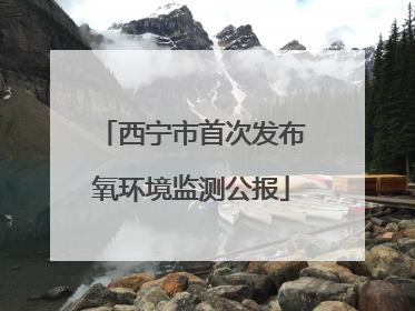 西宁市首次发布氧环境监测公报