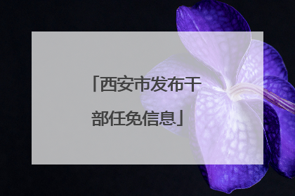 西安市发布干部任免信息