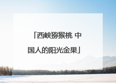西峡猕猴桃 中国人的阳光金果
