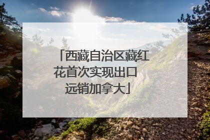 西藏自治区藏红花首次实现出口 远销加拿大