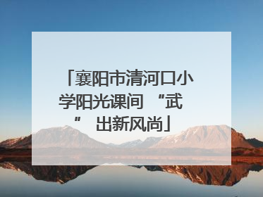 襄阳市清河口小学阳光课间 “武” 出新风尚