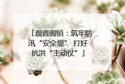 观音阁镇：筑牢防汛“安全堤” 打好抗洪“主动仗”