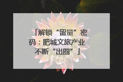 解锁“留量”密码：肥城文旅产业不断“出圈”