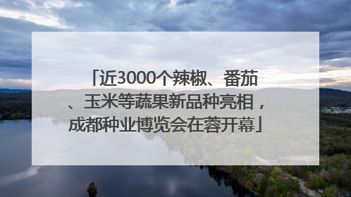 近3000个辣椒、番茄、玉米等蔬果新品种亮相，成都种业博览会在蓉开幕