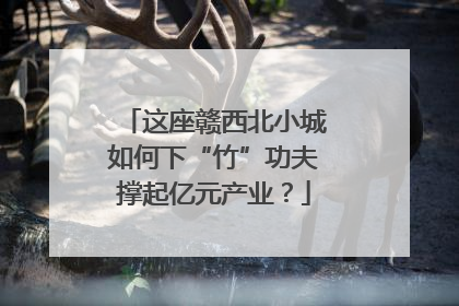这座赣西北小城如何下“竹”功夫撑起亿元产业？