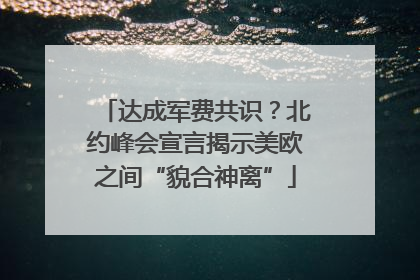 达成军费共识？北约峰会宣言揭示美欧之间“貌合神离”