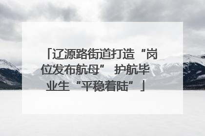 辽源路街道打造“岗位发布航母” 护航毕业生“平稳着陆”