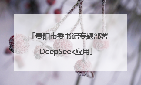 贵阳市委书记专题部署DeepSeek应用