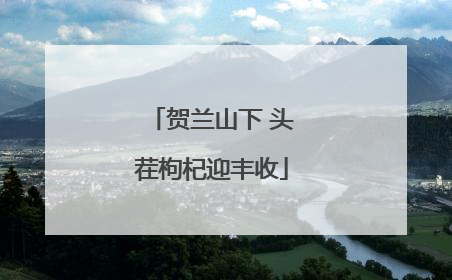 贺兰山下 头茬枸杞迎丰收