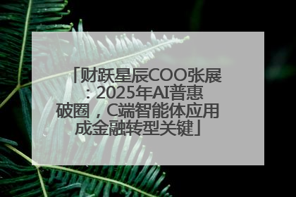 财跃星辰COO张展：2025年AI普惠破圈，C端智能体应用成金融转型关键