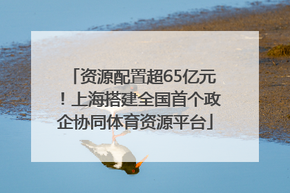 资源配置超65亿元！上海搭建全国首个政企协同体育资源平台