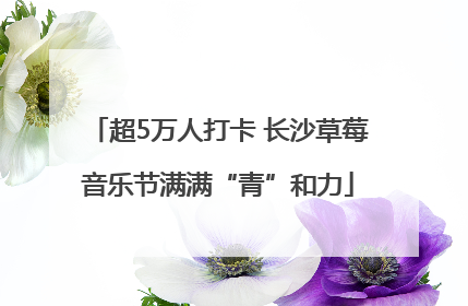 超5万人打卡 长沙草莓音乐节满满“青”和力