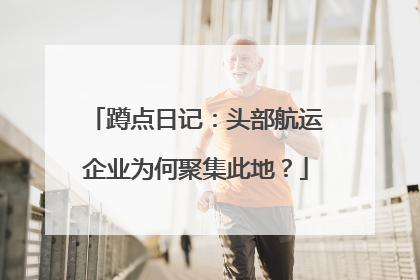 蹲点日记：头部航运企业为何聚集此地？