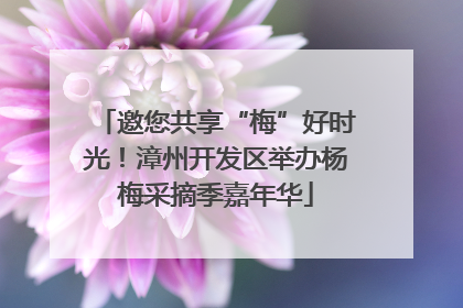 邀您共享“梅”好时光！漳州开发区举办杨梅采摘季嘉年华