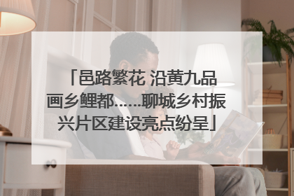 邑路繁花 沿黄九品 画乡鲤都……聊城乡村振兴片区建设亮点纷呈