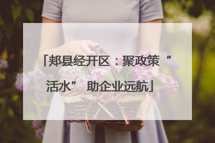 郏县经开区：聚政策“活水” 助企业远航