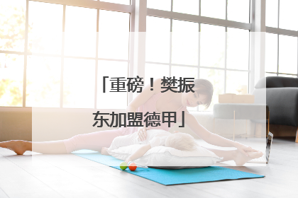 重磅！樊振东加盟德甲