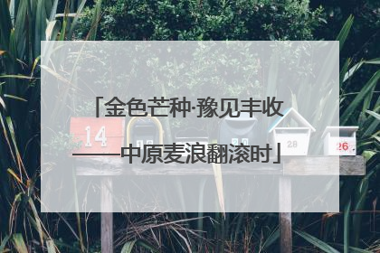 金色芒种·豫见丰收——中原麦浪翻滚时