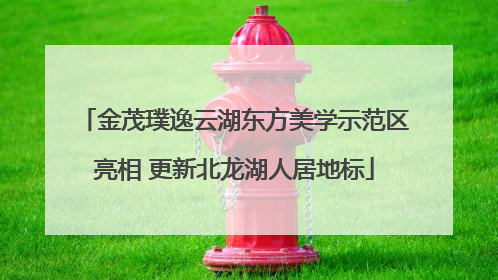 金茂璞逸云湖东方美学示范区亮相 更新北龙湖人居地标