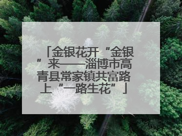 金银花开“金银”来——淄博市高青县常家镇共富路上“一路生花”