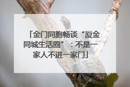 金门同胞畅谈“厦金同城生活圈”：不是一家人不进一家门