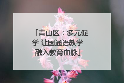 青山区：多元促学 让国通语教学融入教育血脉