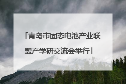 青岛市固态电池产业联盟产学研交流会举行