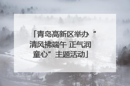 青岛高新区举办“清风拂端午 正气润童心”主题活动