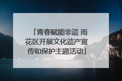 青春赋能非遗 雨花区开展文化遗产宣传和保护主题活动