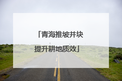 青海推坡并块提升耕地质效