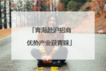 青海赴沪招商 优势产业获青睐