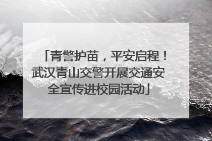 青警护苗，平安启程！武汉青山交警开展交通安全宣传进校园活动