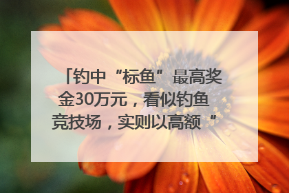 钓中“标鱼”最高奖金30万元，看似钓鱼竞技场，实则以高额“回报”作“饵”……｜今晚九点半
