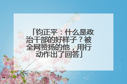 钧正平：什么是政治干部的好样子？被全网赞扬的他，用行动作出了回答
