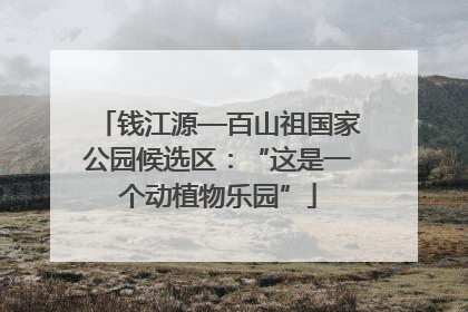 钱江源—百山祖国家公园候选区：“这是一个动植物乐园”