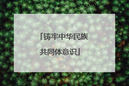 铸牢中华民族共同体意识