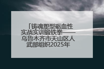 铸魂塑型砺血性 实战实训锻铁拳——乌鲁木齐市天山区人武部组织2025年度民兵集中轮训